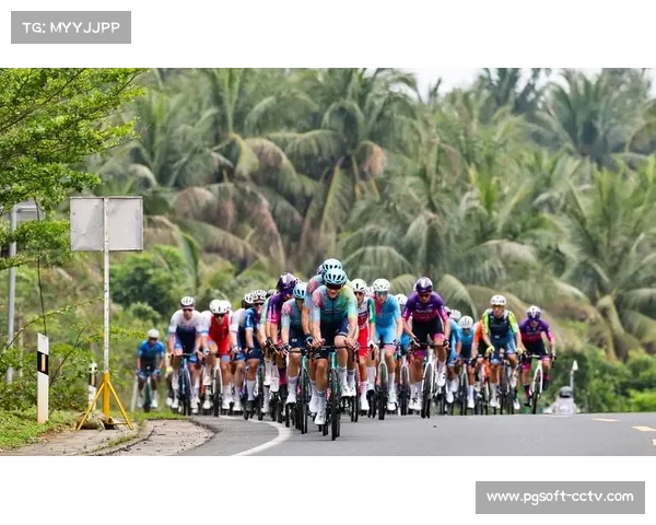 张好：环海南岛赛是骑行者的节日