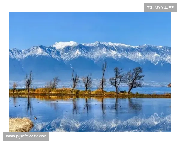 大理环云南赛串联洱海苍山，白族村落风貌成移动文化展廊